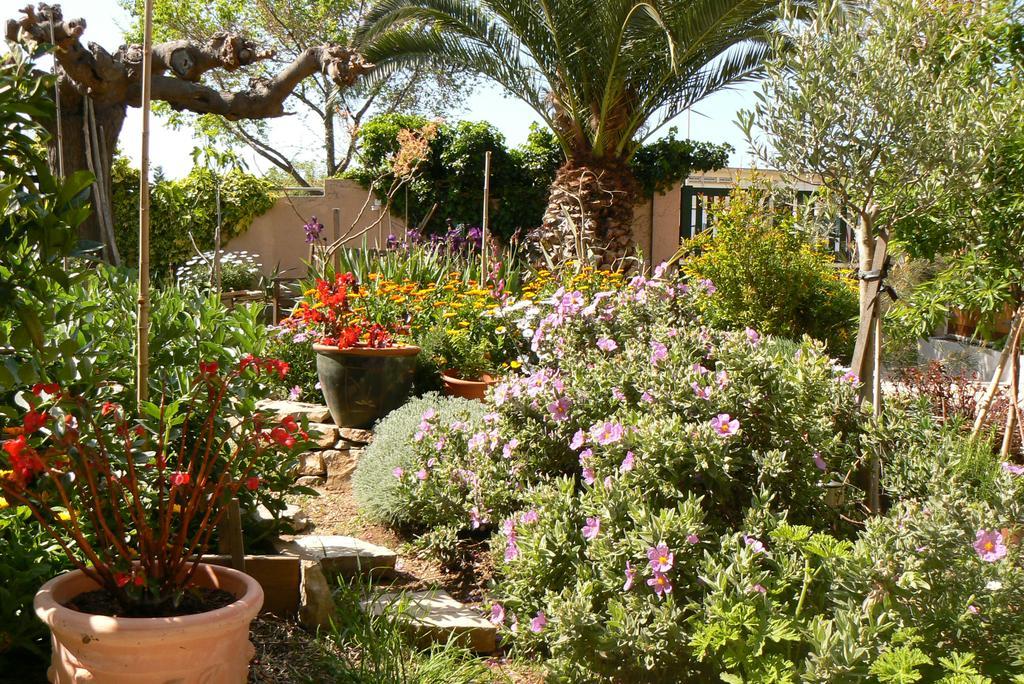 L' Escale Tranquille Bed & Breakfast Sete Exterior photo